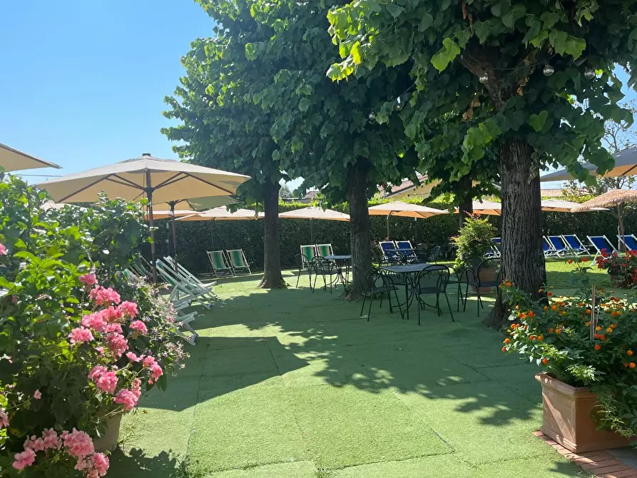 Immagine 2 di Attività commerciale in vendita  a Carrara