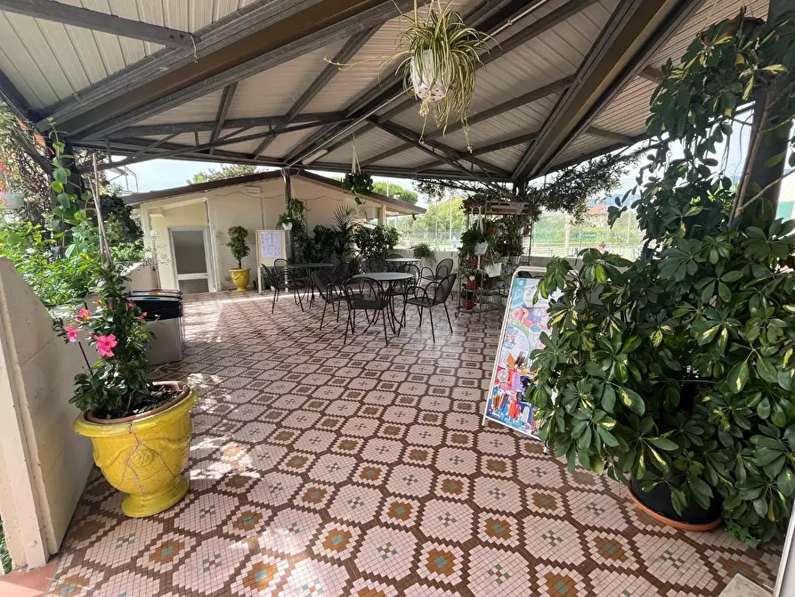 Immagine 32 di Attività commerciale in vendita  a Carrara