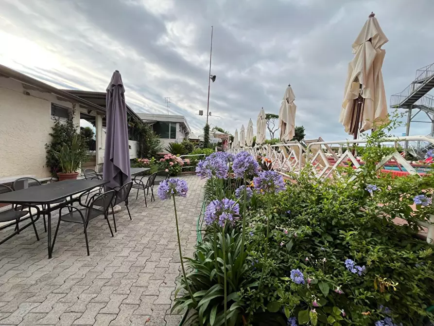 Immagine 52 di Attività commerciale in vendita  a Carrara