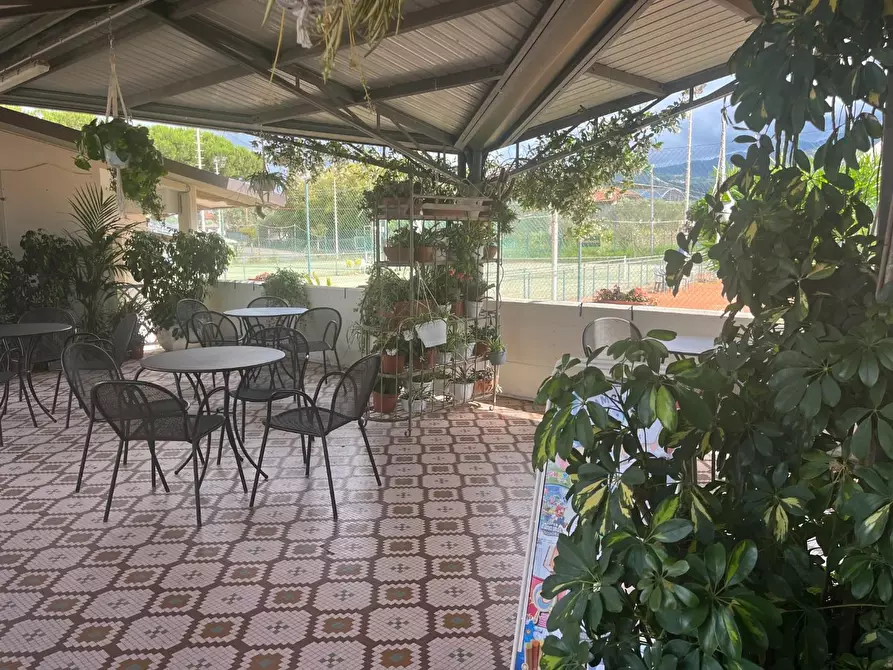 Immagine 36 di Attività commerciale in vendita  a Carrara