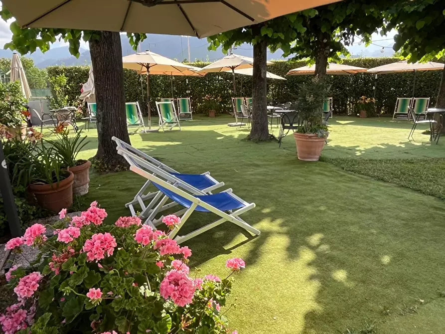 Immagine 51 di Attività commerciale in vendita  a Carrara