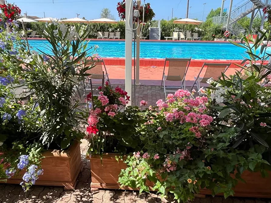 Immagine 6 di Attività commerciale in vendita  a Carrara