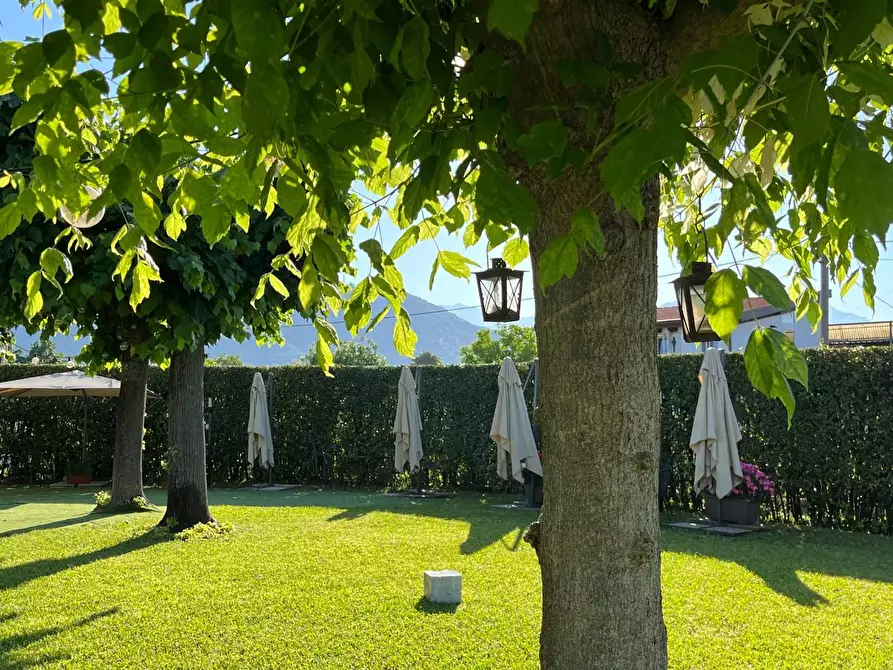 Immagine 26 di Attività commerciale in vendita  a Carrara