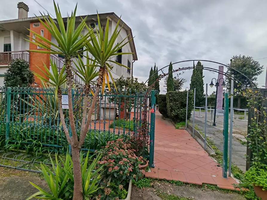 Immagine 56 di Attività commerciale in vendita  a Carrara