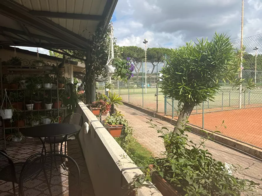 Immagine 42 di Attività commerciale in vendita  a Carrara