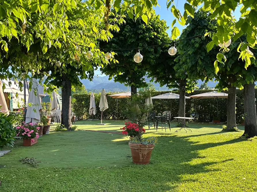 Immagine 27 di Attività commerciale in vendita  a Carrara