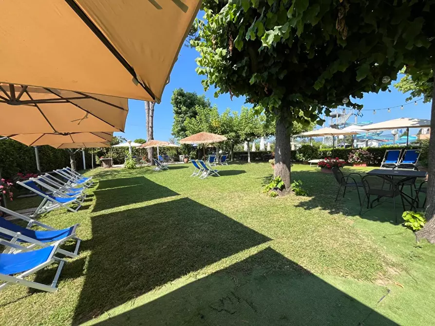 Immagine 3 di Attività commerciale in vendita  a Carrara