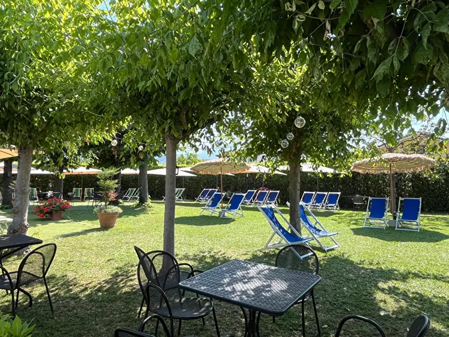 Immagine 5 di Attività commerciale in vendita  a Carrara