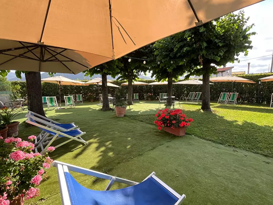 Immagine 50 di Attività commerciale in vendita  a Carrara