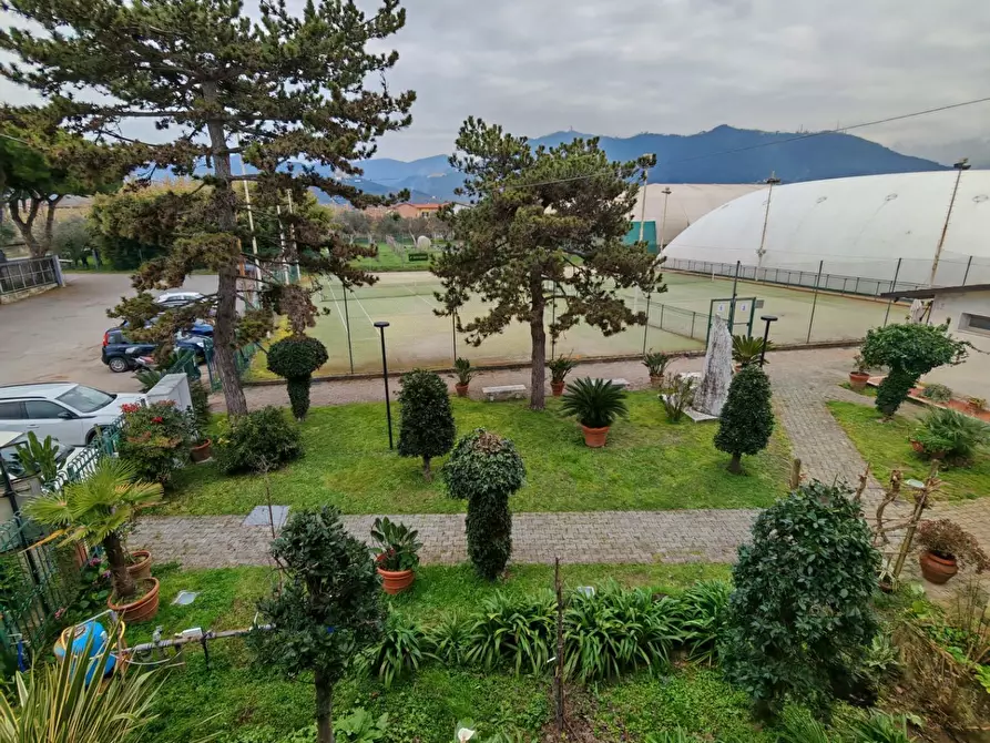 Immagine 55 di Attività commerciale in vendita  a Carrara