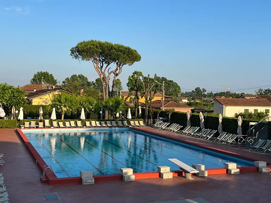 Immagine 15 di Attività commerciale in vendita  a Carrara