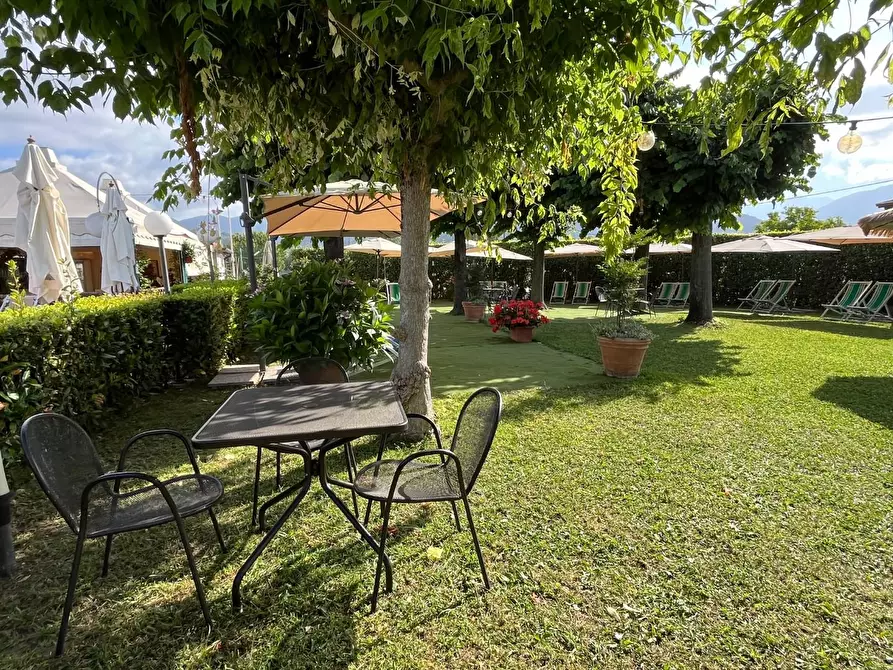 Immagine 49 di Attività commerciale in vendita  a Carrara