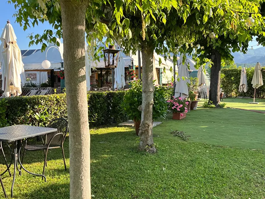 Immagine 29 di Attività commerciale in vendita  a Carrara