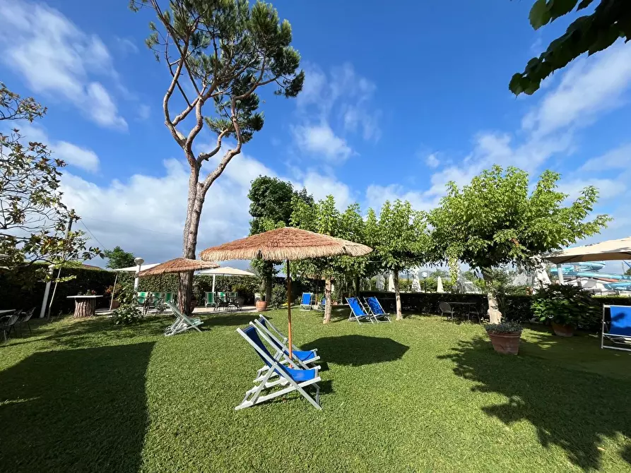 Immagine 45 di Attività commerciale in vendita  a Carrara