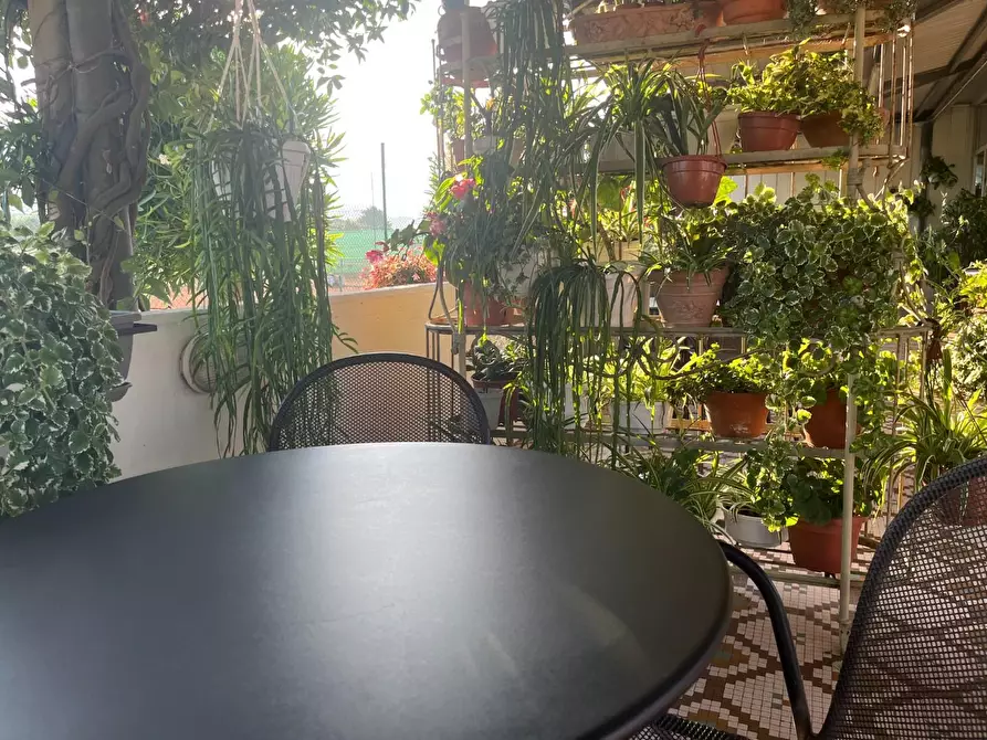 Immagine 1 di Attività commerciale in vendita  a Carrara