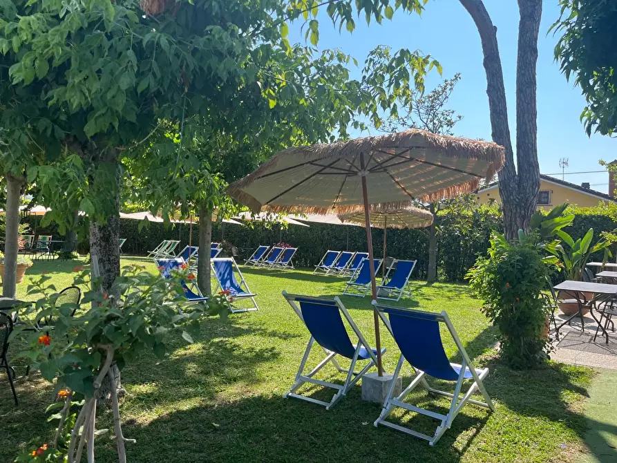 Immagine 4 di Attività commerciale in vendita  a Carrara