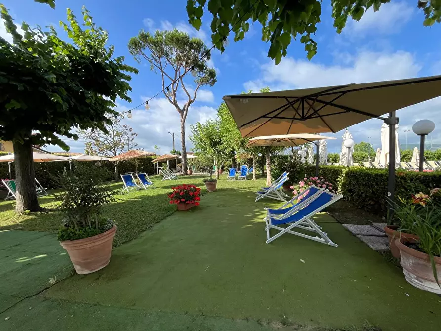 Immagine 44 di Attività commerciale in vendita  a Carrara