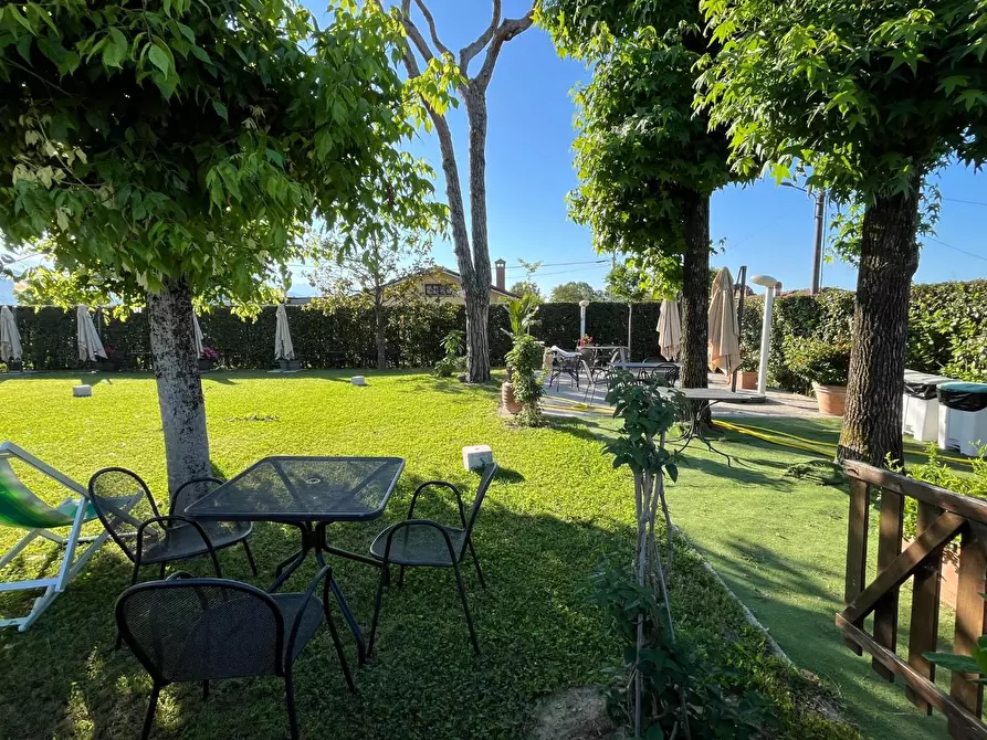 Immagine 24 di Attività commerciale in vendita  a Carrara