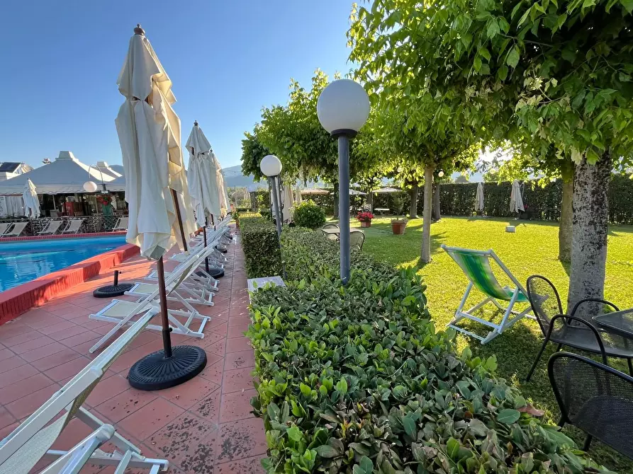 Immagine 23 di Attività commerciale in vendita  a Carrara