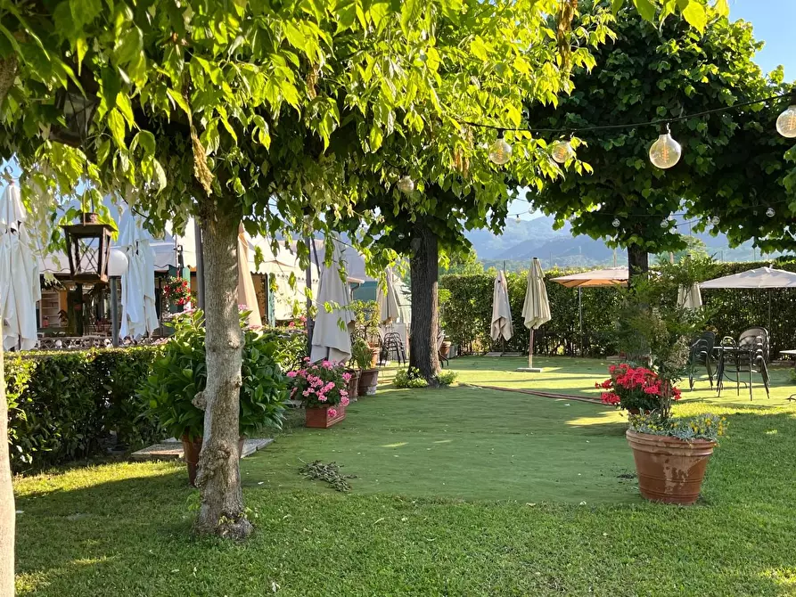 Immagine 28 di Attività commerciale in vendita  a Carrara