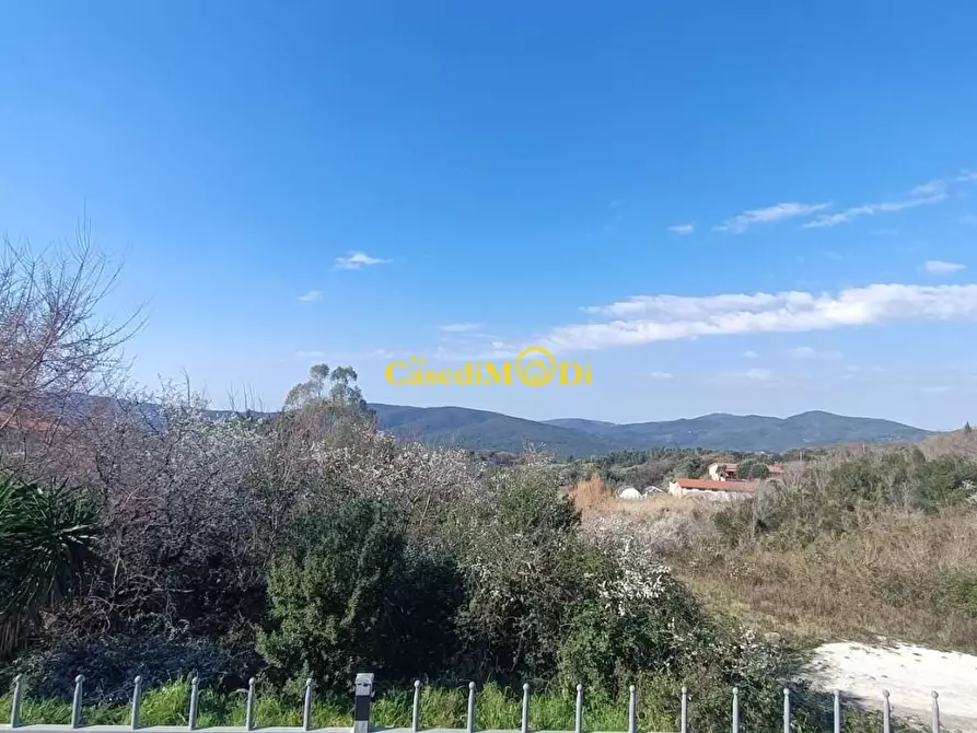 Immagine 27 di Appartamento in vendita  a Rosignano Marittimo