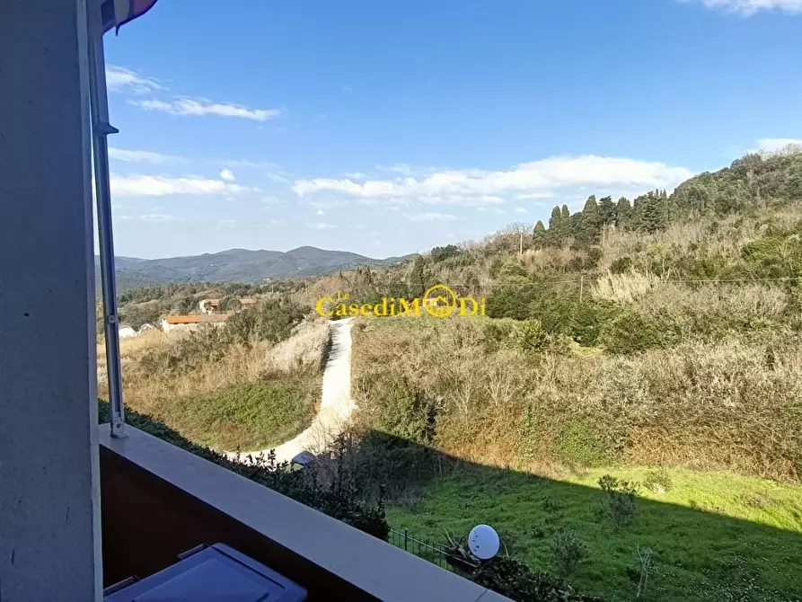 Immagine 24 di Appartamento in vendita  a Rosignano Marittimo