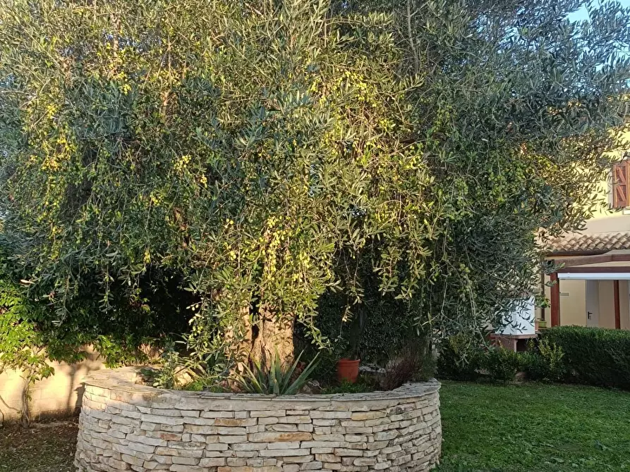 Immagine 34 di Villetta a schiera in vendita  a Fiumicino