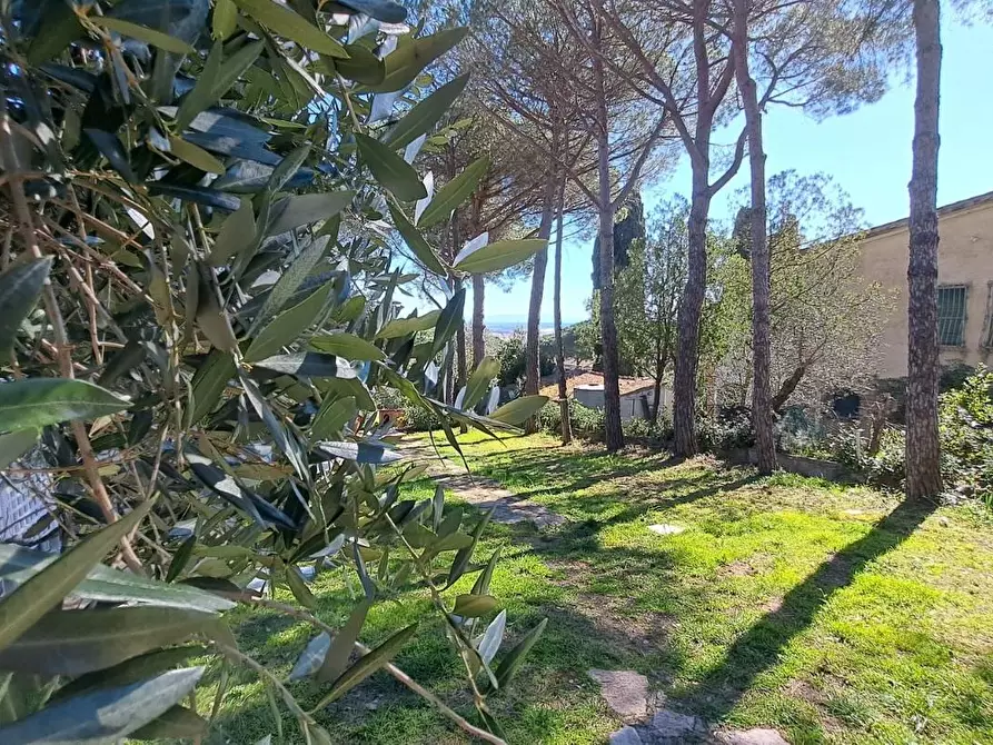 Immagine 10 di Villa in vendita  a Rosignano Marittimo