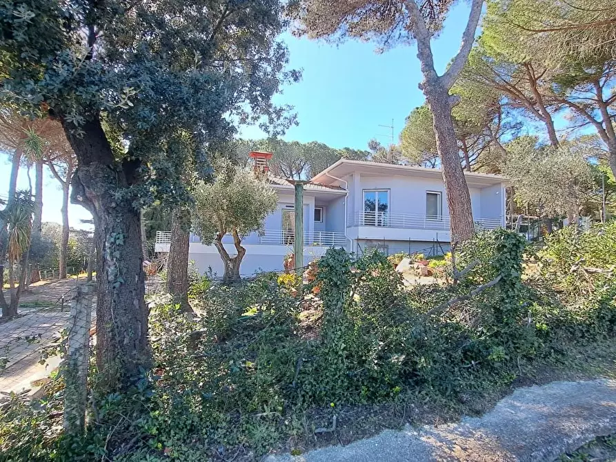 Immagine 7 di Villa in vendita  a Rosignano Marittimo