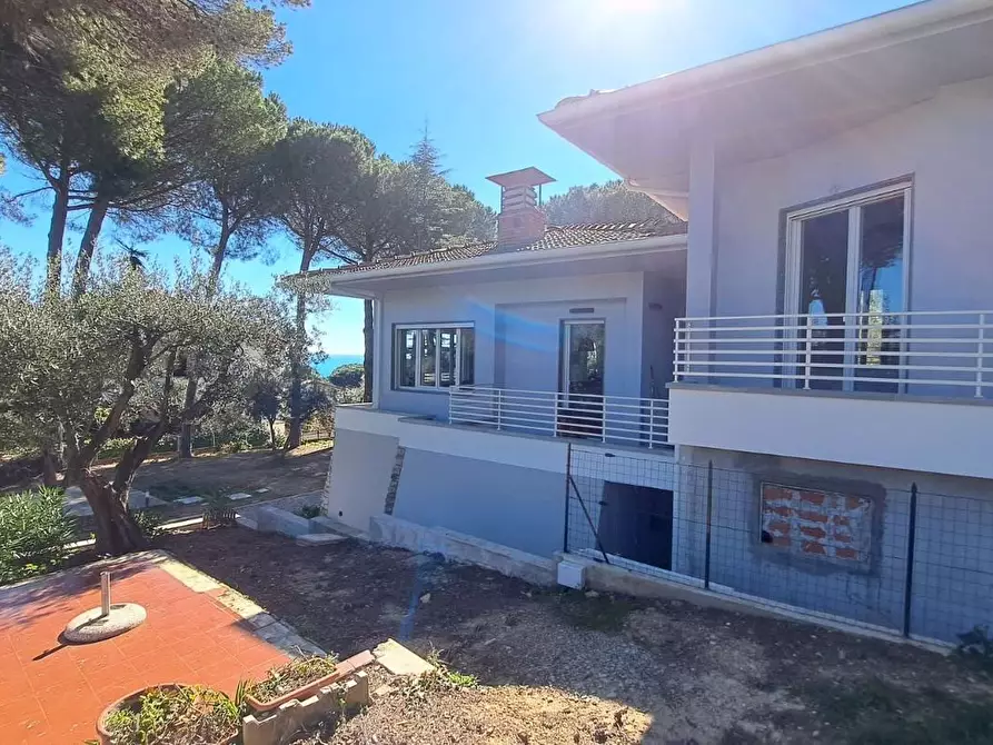 Immagine 6 di Villa in vendita  a Rosignano Marittimo