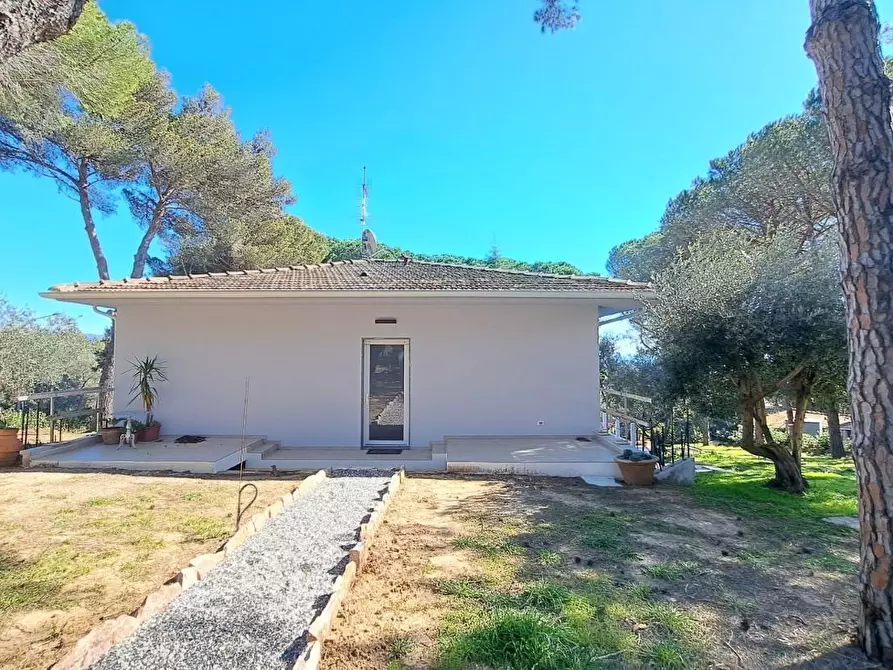 Immagine 8 di Villa in vendita  a Rosignano Marittimo