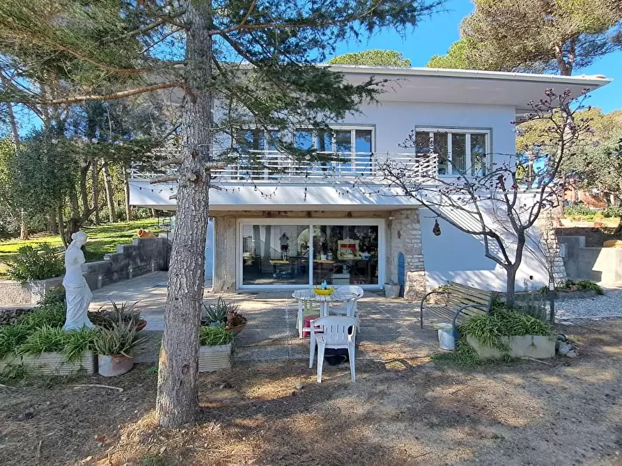 Immagine 2 di Villa in vendita  a Rosignano Marittimo
