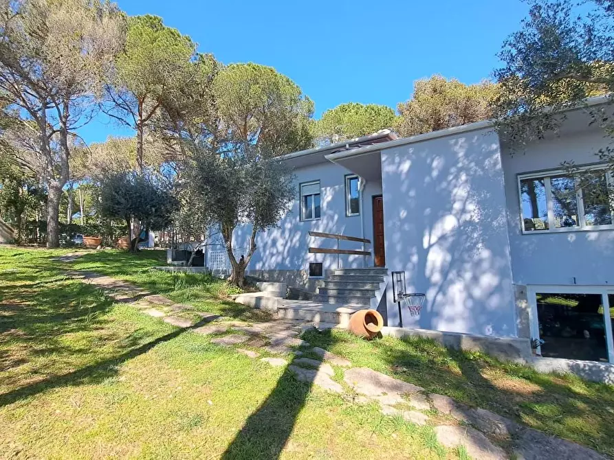 Immagine 4 di Villa in vendita  a Rosignano Marittimo