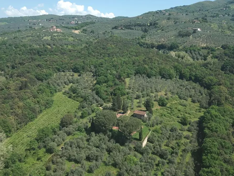 Immagine 25 di Casa colonica in vendita  a Vinci