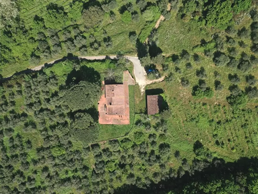 Immagine 23 di Casa colonica in vendita  a Vinci