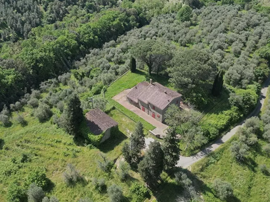 Immagine 4 di Casa colonica in vendita  a Vinci