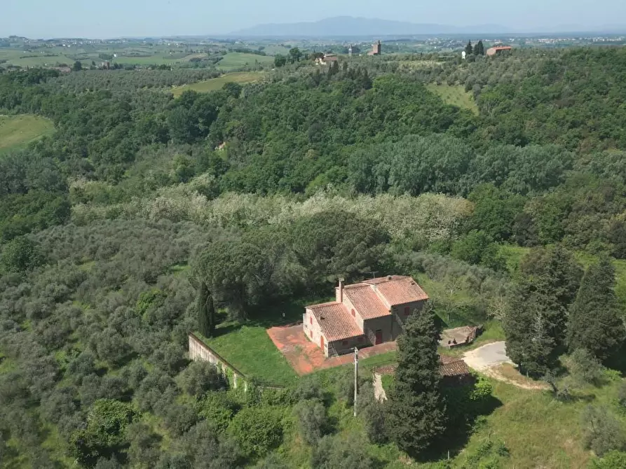 Immagine 3 di Casa colonica in vendita  a Vinci
