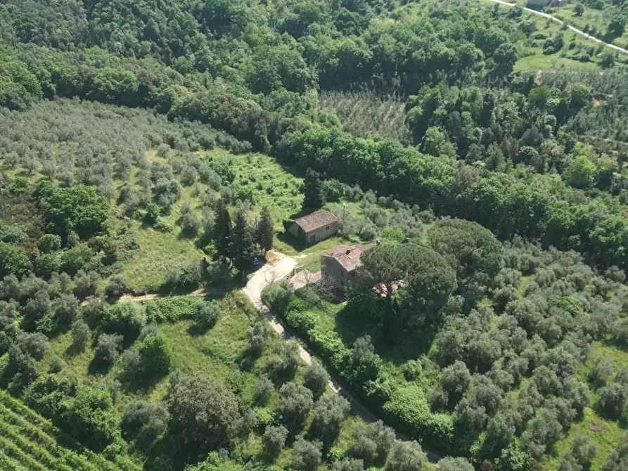 Immagine 24 di Casa colonica in vendita  a Vinci