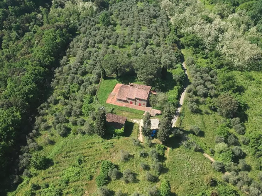 Immagine 5 di Casa colonica in vendita  a Vinci