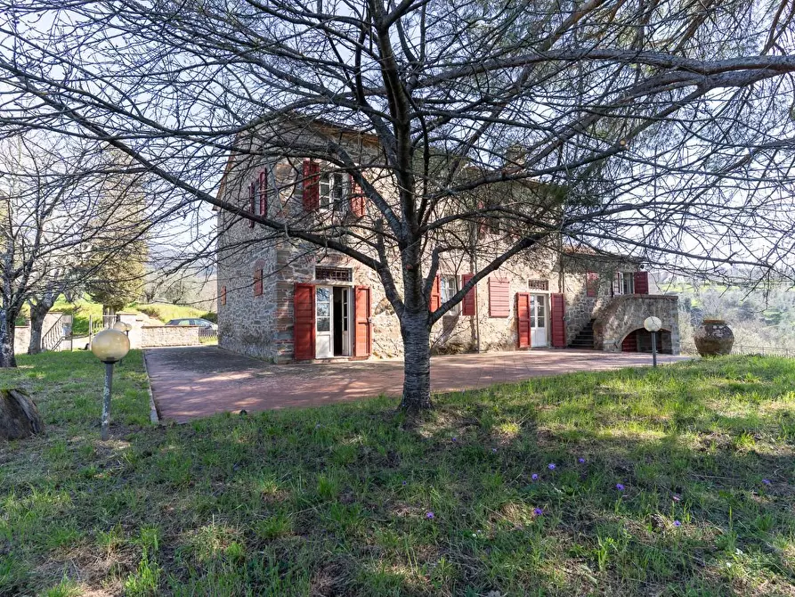 Immagine 17 di Casa colonica in vendita  a Vinci