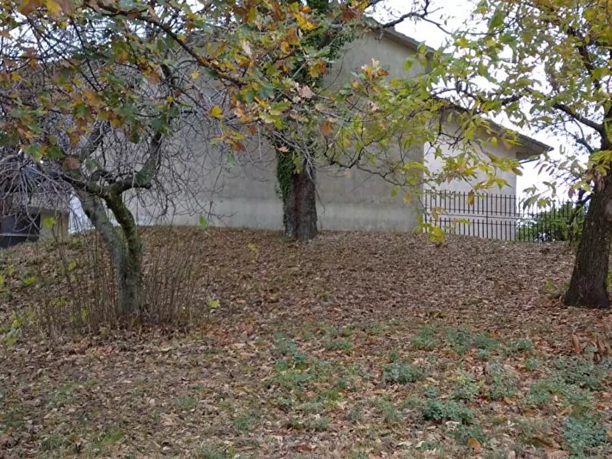 Immagine 5 di Villa in vendita  a Semproniano