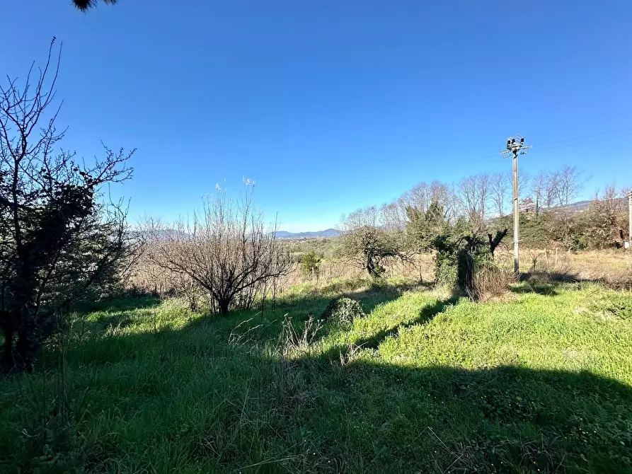 Immagine 9 di Rustico / casale in vendita  a Capannori