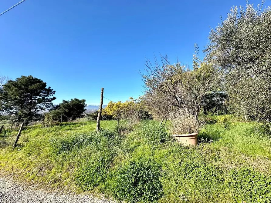 Immagine 8 di Rustico / casale in vendita  a Capannori