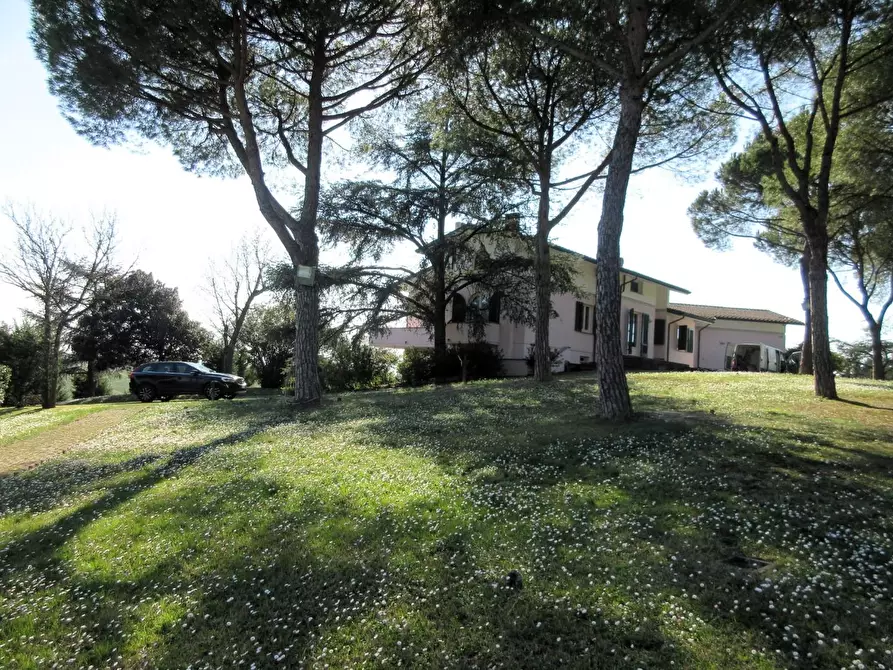 Immagine 19 di Villa in vendita  a Vinci