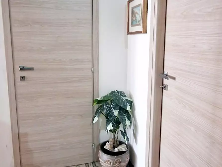 Immagine 10 di Appartamento in vendita  a Carrara