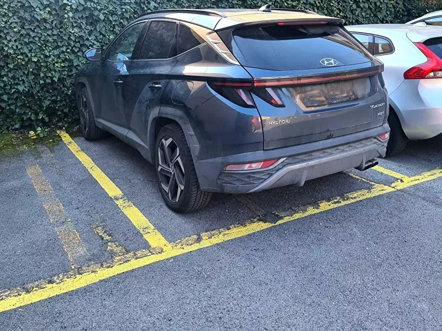 Immagine 11 di Villetta a schiera in affitto  a Viareggio