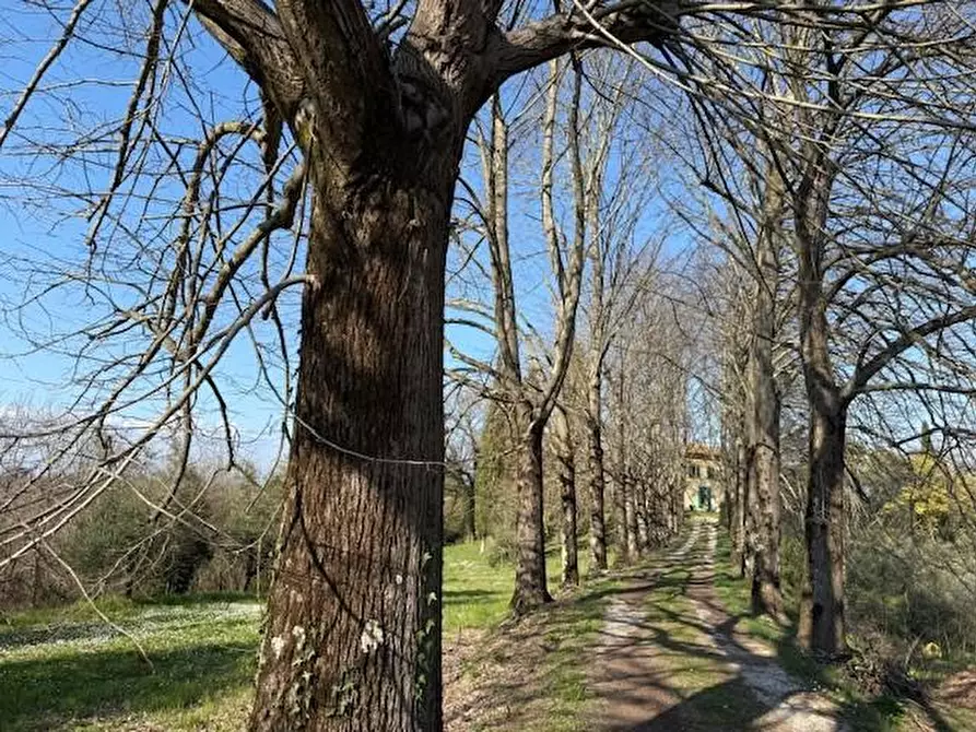 Immagine 6 di Villa in vendita  a Fucecchio