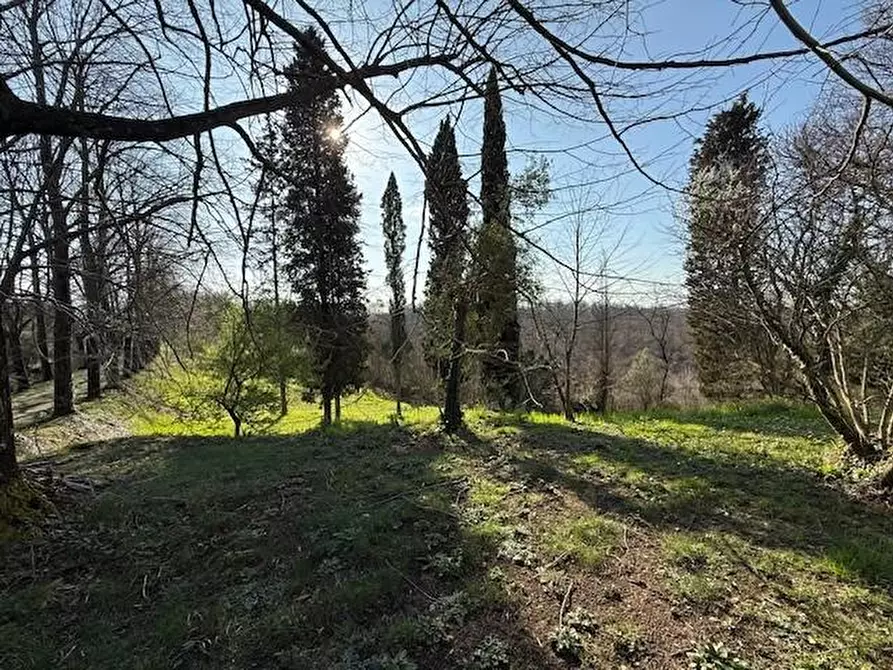 Immagine 8 di Villa in vendita  a Fucecchio