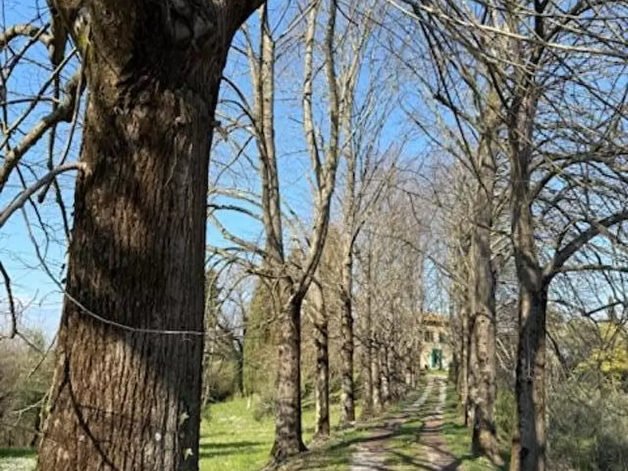 Immagine 5 di Villa in vendita  a Fucecchio