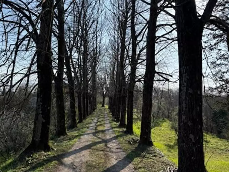 Immagine 62 di Villa in vendita  a Fucecchio